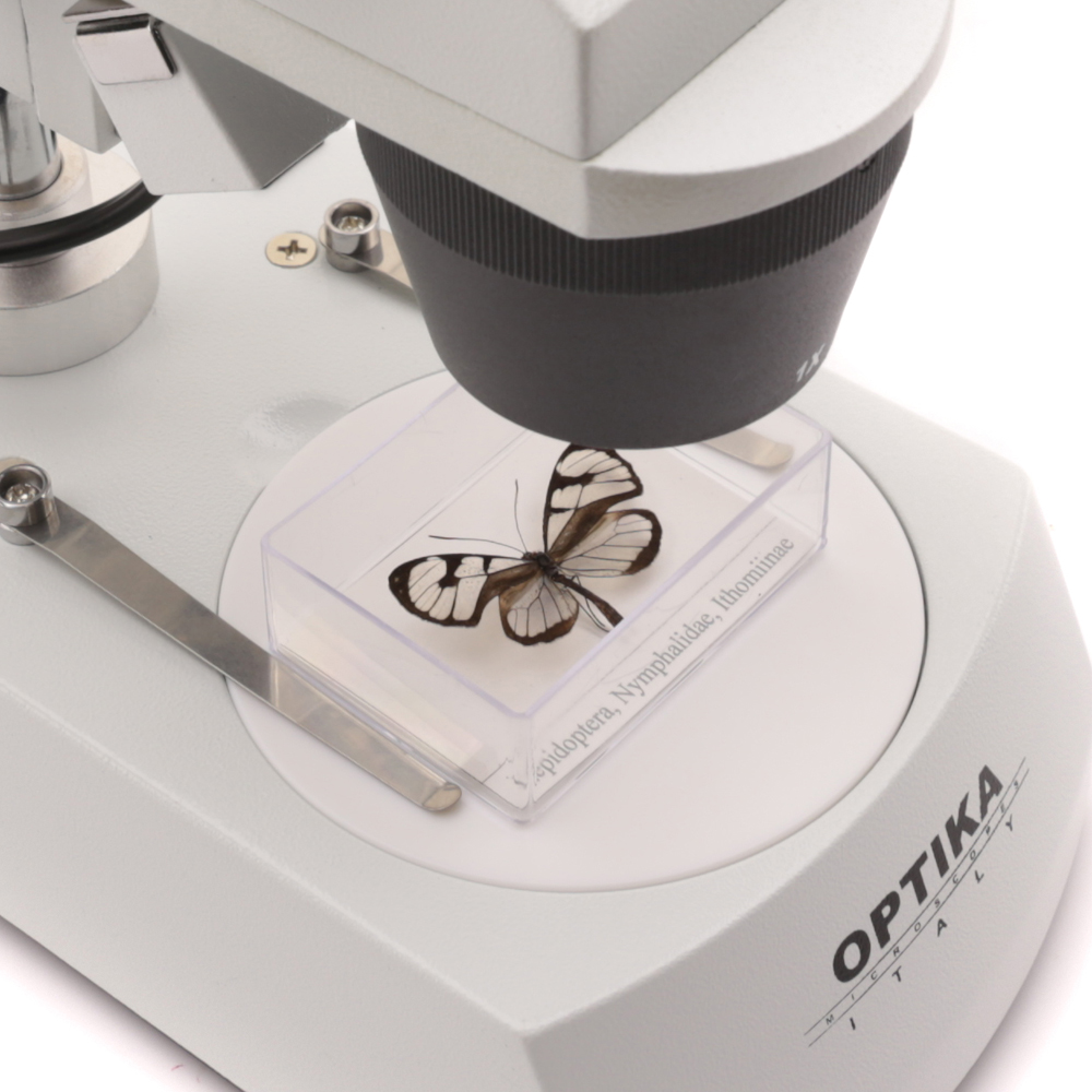 Stereo microscoop SFX-serie